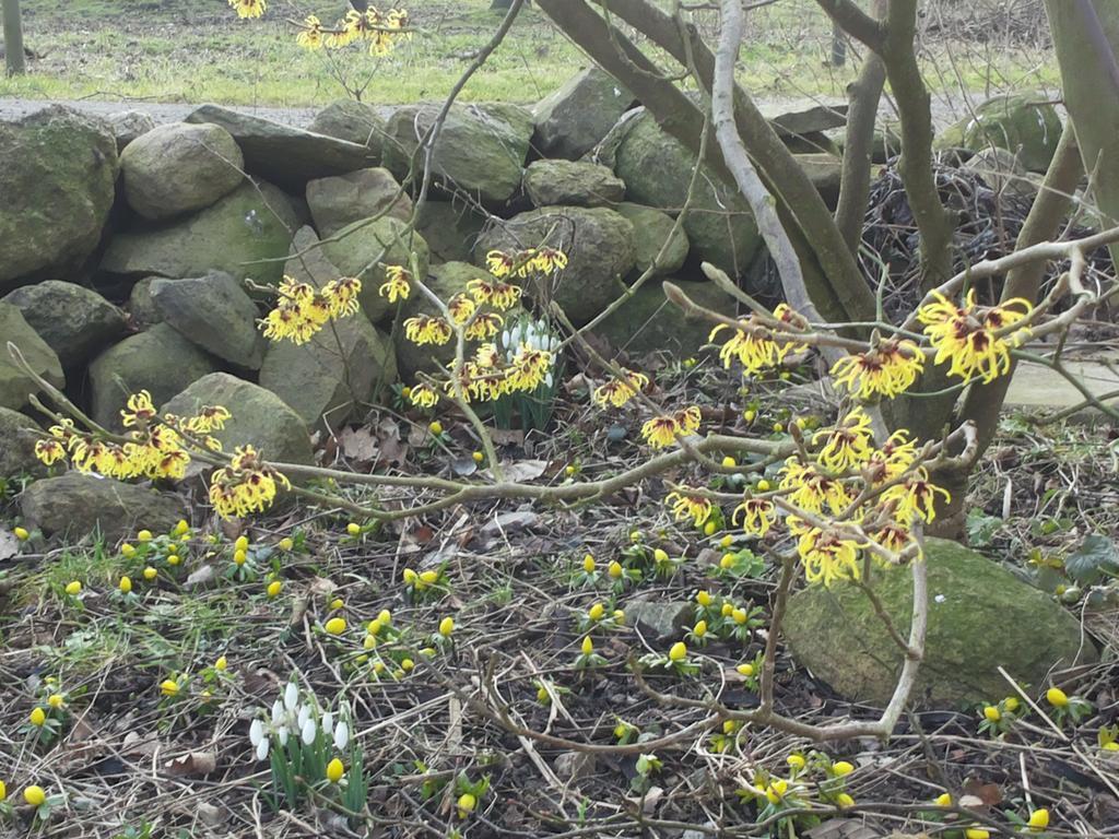 Landsteder Laegenhet Lillisgarden *