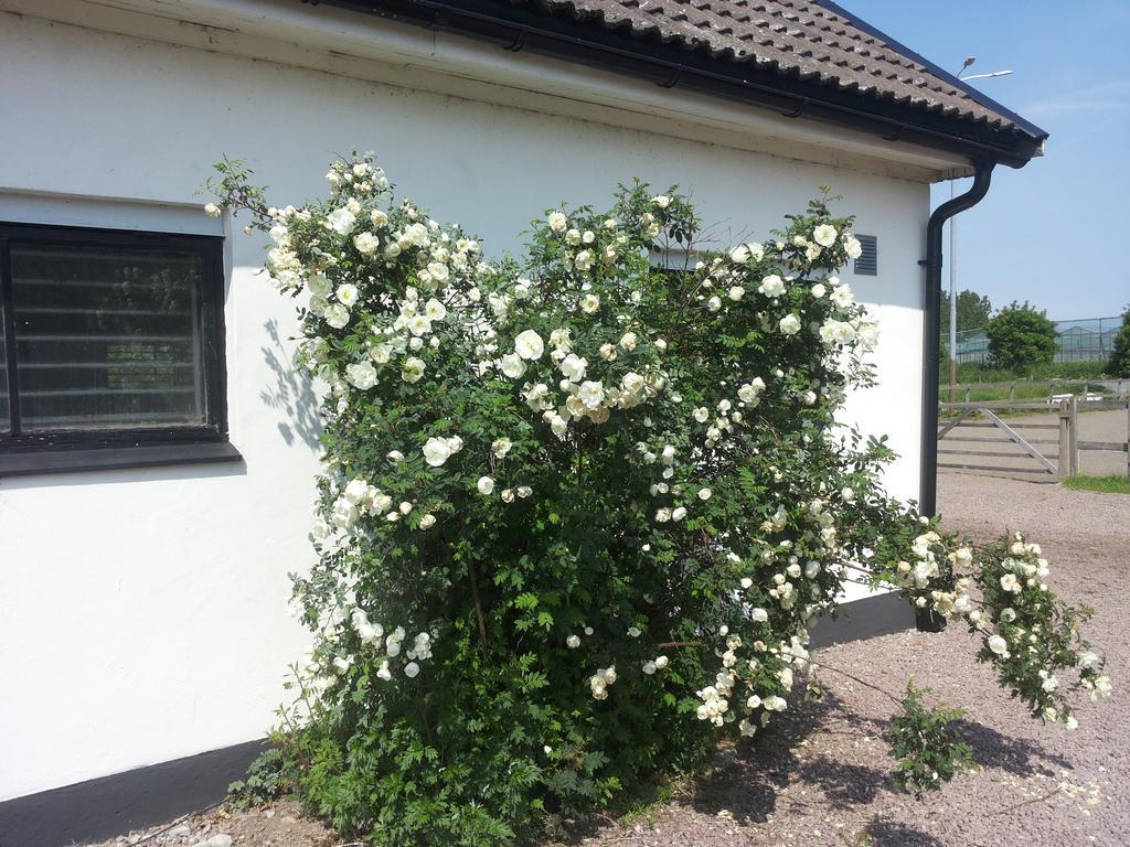 Laegenhet Lillisgarden