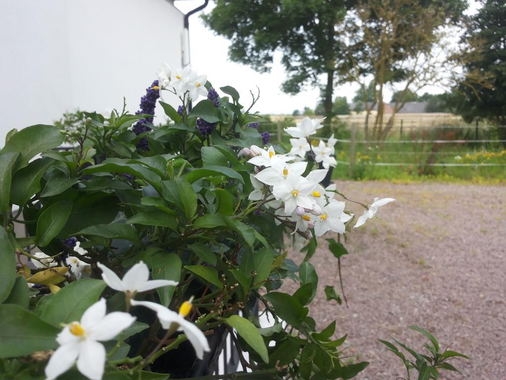 Landsteder Laegenhet Lillisgarden *